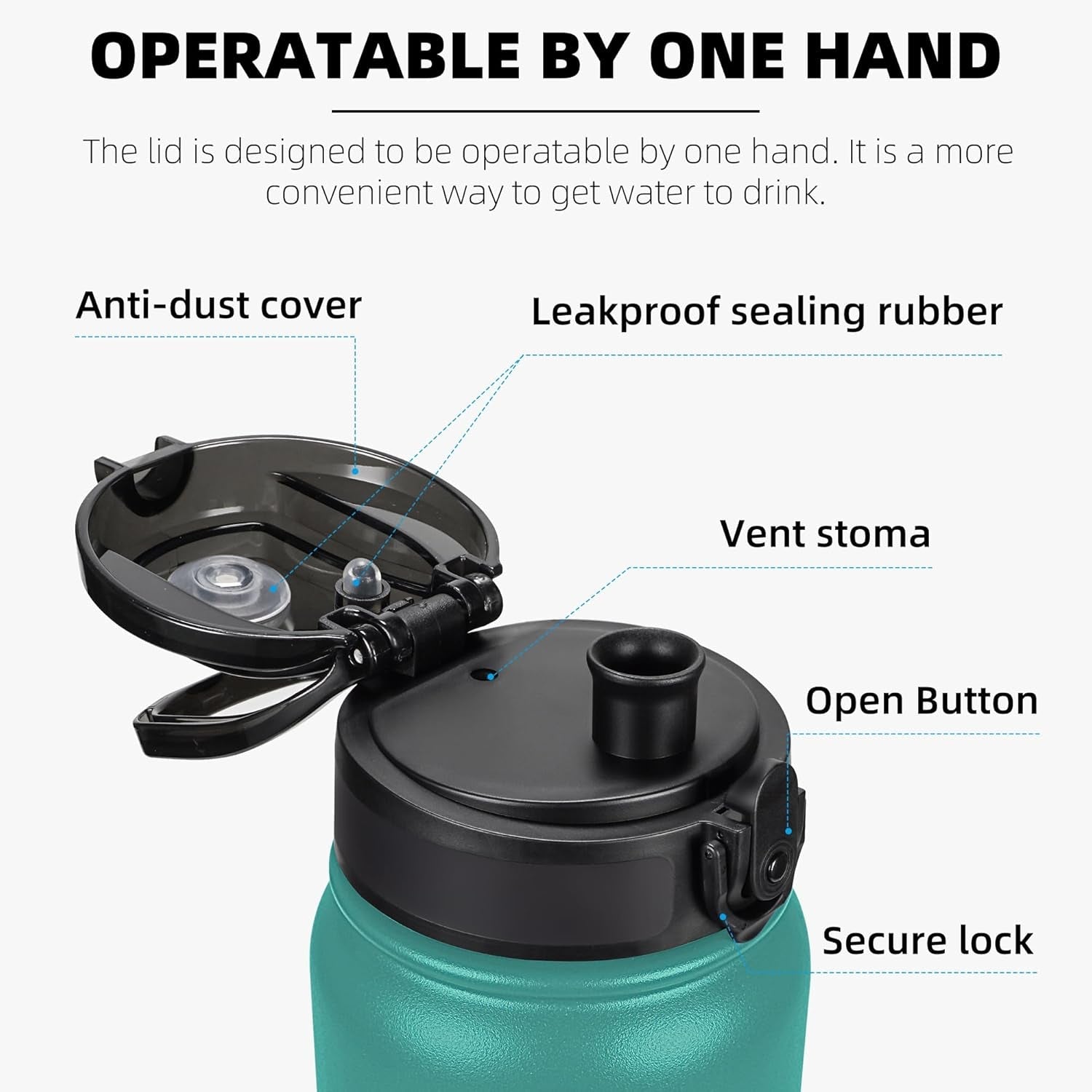 Leak & Sweat Proof with Anti-Dust Lid (Green Blue)