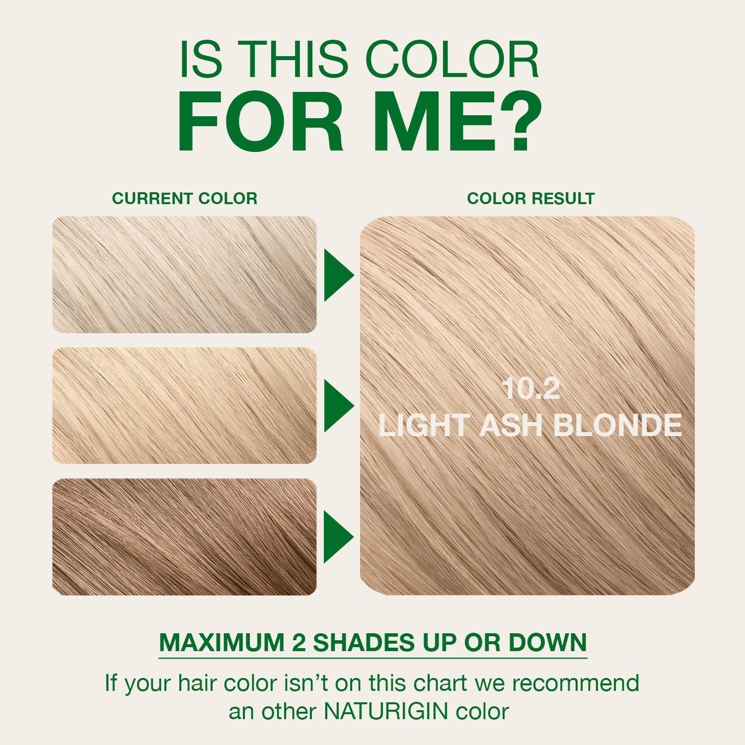 Permanent Hair Dye, 10.2 Light Ash Blonde, Ammonia and Paraben Free, up to 100% Gray Hair Coverage, Long Lasting, Vegan, Cruelty Free