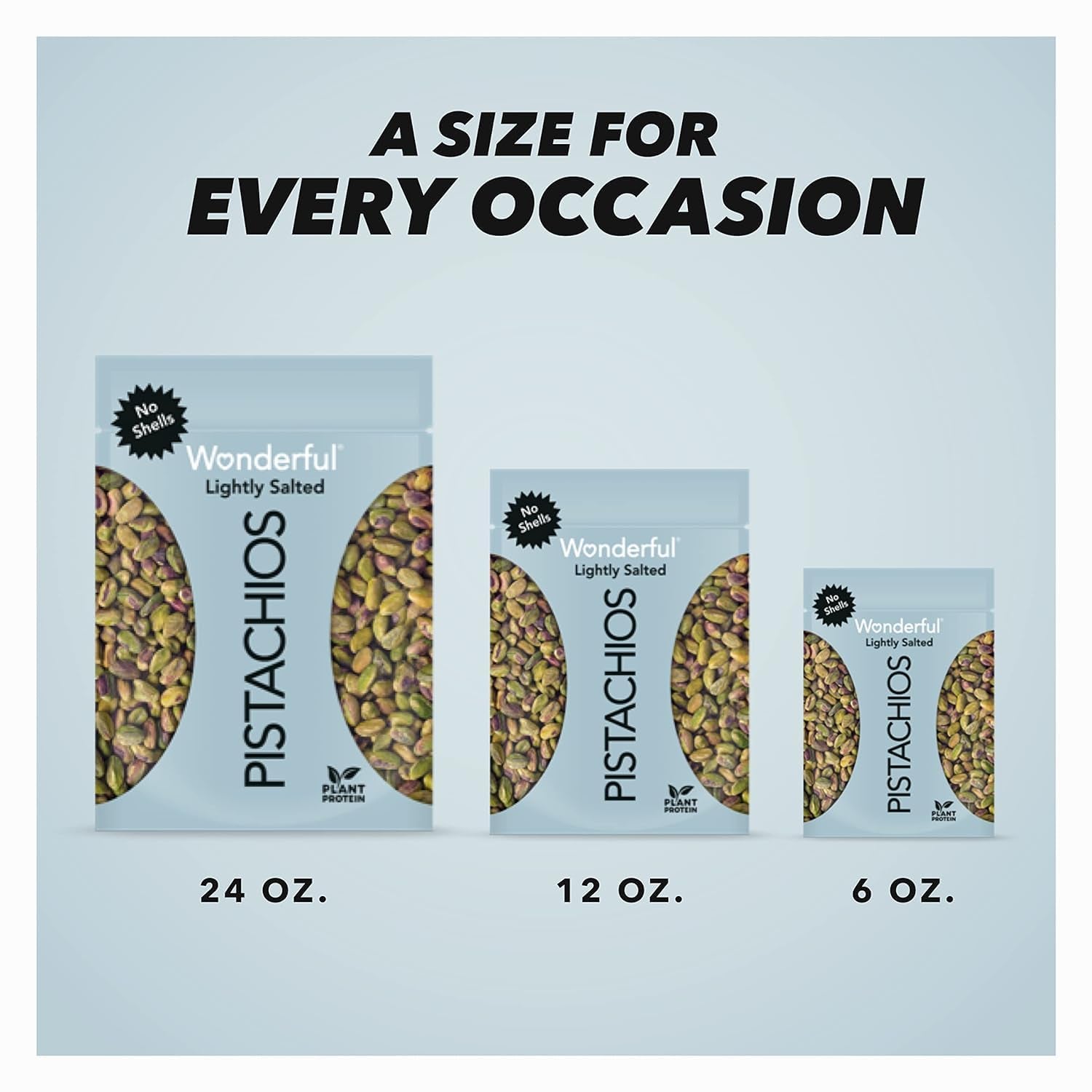 No Shells, Lightly Salted Nuts, 12 Ounce Resealable Bag, Protein Snacks, Gluten Free, Healthy Snack