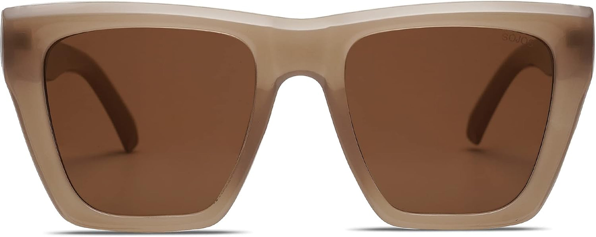 Fashion Oversized Square Cat Eye Polarized Sunglasses for Women Trendy Cateye Style Womens Sunglasses SJ2179