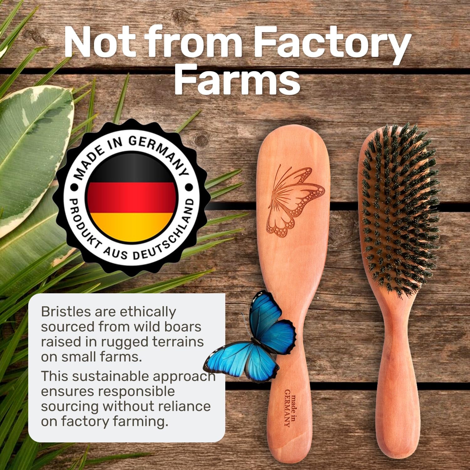100% Natural Boar Bristle Hairbrush for Healthy Hair - Gentle Care, Made in Germany