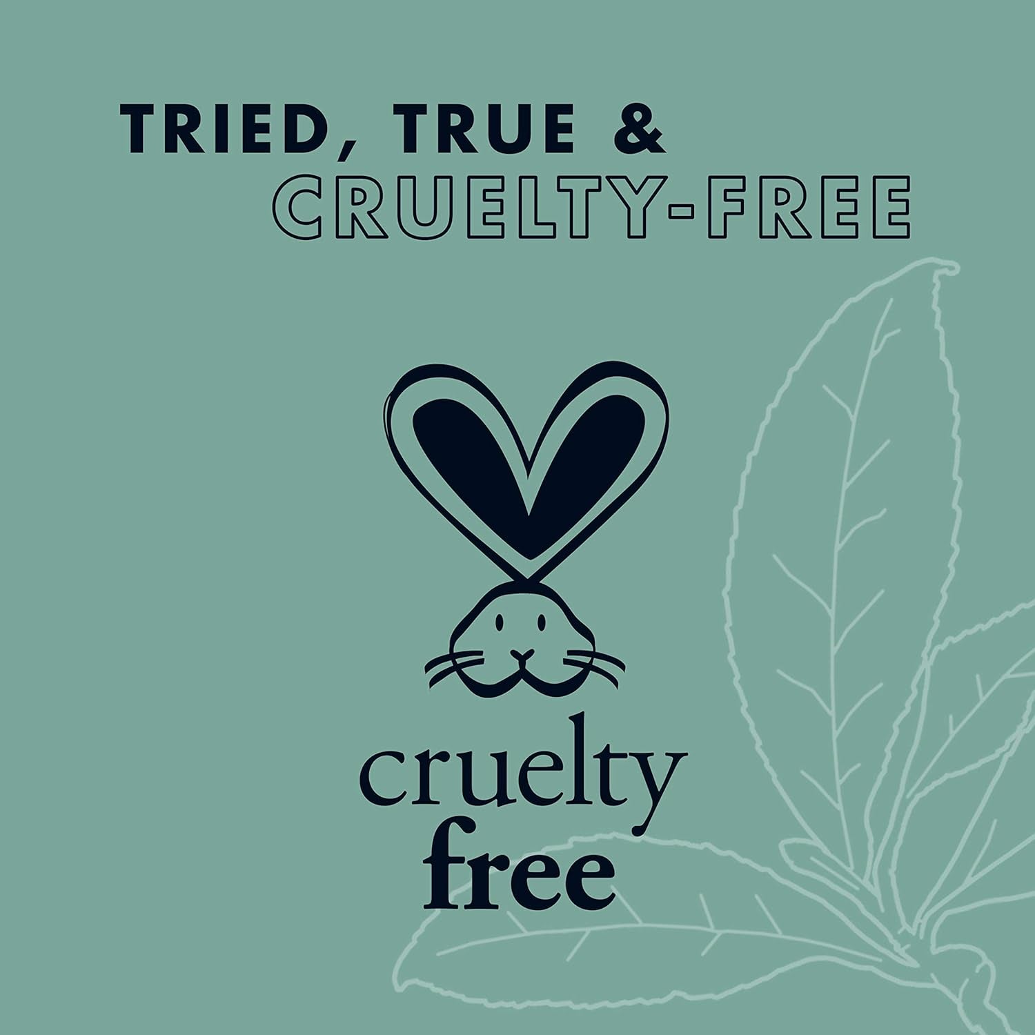 Mousse for Curly Hair, Wig or Weave, Tea Tree and Borage Seed Oil, Paraben-Free Styling Mousse, 7.5 Ounce