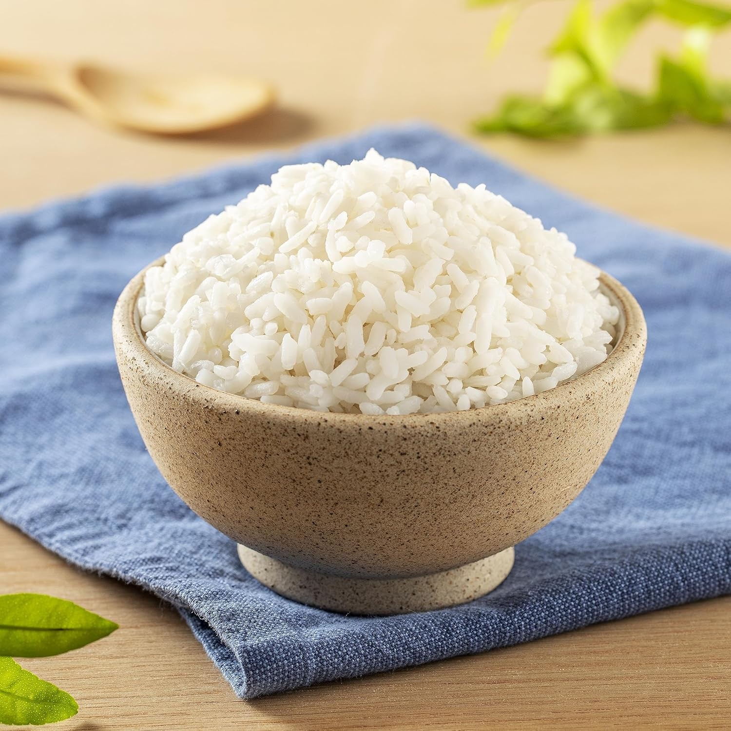 Morelos Rice 1 Lb (Pack of 1)